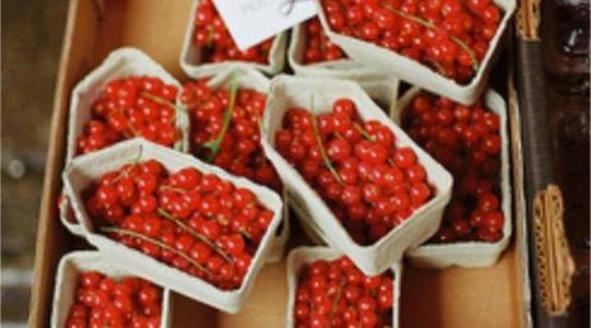 坐月子吃水果要加热吗 水果怎么加热吃 给宝宝吃的水果怎么加热？