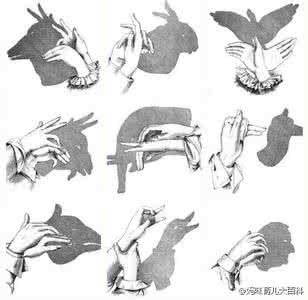 手影教学基本动作 手影（很难找哦，可以教孩子了）要收藏哦！