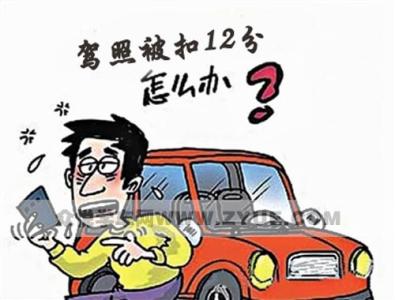 京顺驾校学车多少钱 驾驶学车要令记