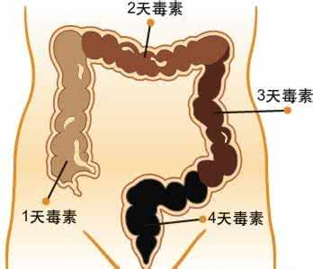 人体排出的垃圾毒素图 排毒一次长寿十年，怎么排出人体所有毒素？