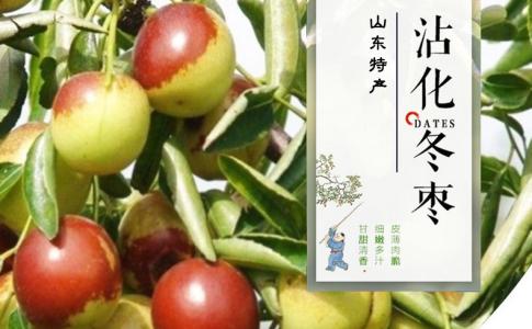 脆冬枣的功效与作用 脆冬枣的功效与作用 又甜又脆冬枣的功效与作用