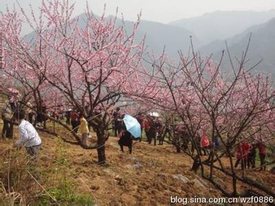 升龙桃花园著 国内八大迷人桃花园