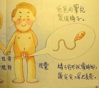 香港幼儿园性教育漫画 香港幼儿园的性教育图书《我是怎么来的？》