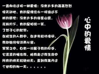 我爱吃泡面 韩国 要爱我,不要泡我