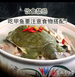 甲鱼的营养价值及功效 甲鱼的营养价值 甲鱼的6大功效与作用：甲鱼是我们日常饮食中常吃的一种食物，