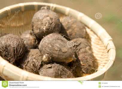 芋头怎么煮容易烂 为什么有的芋头煮不烂 大芋头和小芋头有什么区别