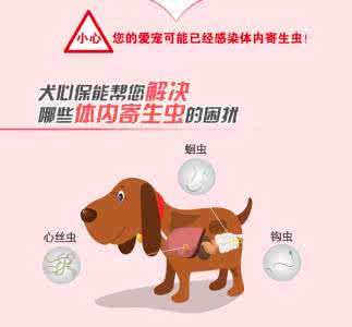 犬心保真假 你真的不怕心丝虫么——关于犬心保的那点事