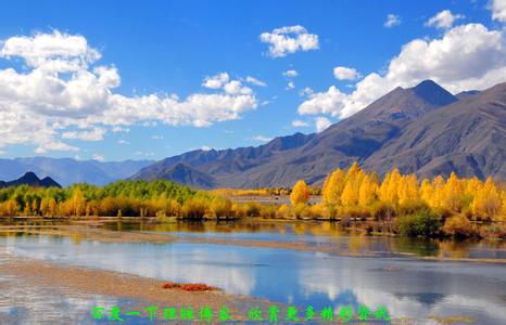 有关健康的生活常识 【转载】健康及生活常识大汇编