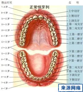 儿童换牙换几颗 儿童换牙换几颗？