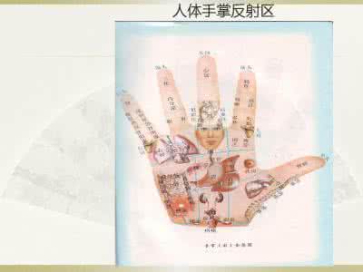 蔡洪光手诊1一12集 手诊保健(续1)