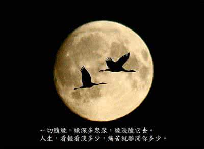 离开你真的很痛苦 感悟 | 看轻看淡多少,痛苦就离开你多少