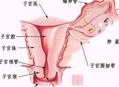 子宫移位的症状 子宫移位的原因 这些行为千万不能有