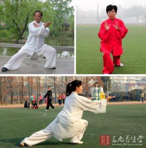 73式孙式太极拳教学 孙式太极拳73式教学1-11集 吴阿敏