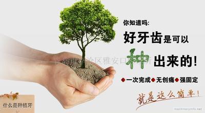 种植牙注意事项 种植牙注意事项 石楠树的种植方法及注意事项 石楠树怎么种