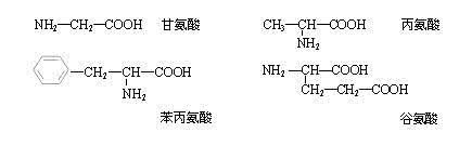 高中生物蛋白质计算题 蛋白质计算题