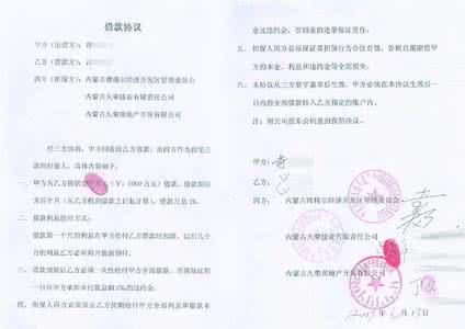 借款合同 《借款合同》（来奇主编）