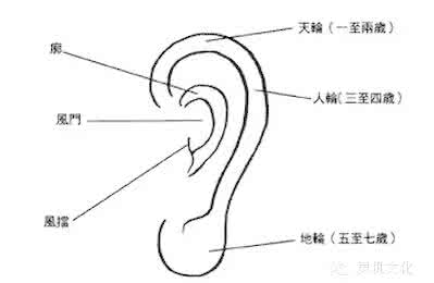 人一生的成就决定于 耳朵位置，决定了你一生成就的大小！