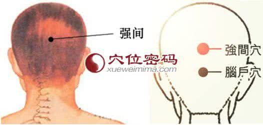 督脉 强间穴_(督脉)查询