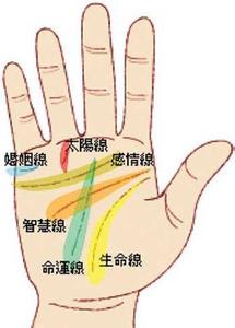 男人手相感情线图解 男人手相感情线图解 手相感情线看最值得珍惜的男人