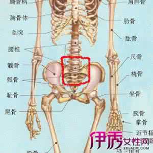 尾椎骨疼是怎么回事 尾椎骨 我们需重视它的存在 尾椎骨疼该怎么办？