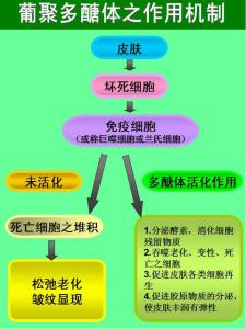 辽宁省糖尿病治疗中心 辽宁省糖尿病高血压肿瘤最突出