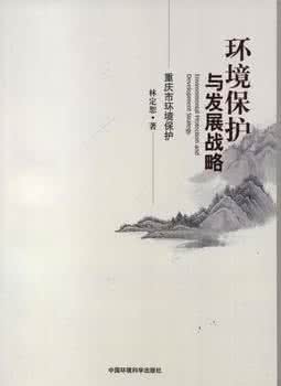 我国环境保护战略 环境保护战略