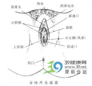 外阴溃疡的症状图片 外阴溃疡的症状图片 外阴溃疡的症状和疗法
