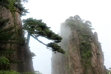 赞美黄山仙境的句子 黄山仙境