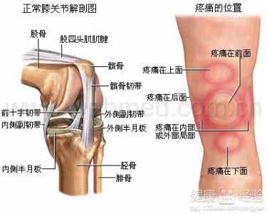 膝关节半月板损伤治疗 关于关节及半月板损伤怎么医治啊