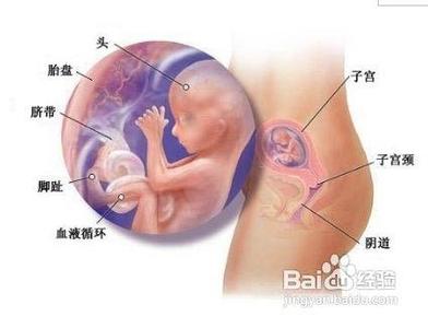 孕晚期心跳快 孕后期心跳过快正常吗? 孕晚期心跳快怎么办