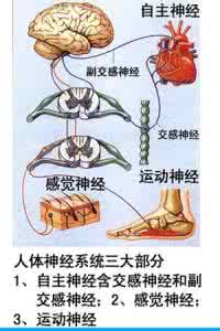 【疾病知识】一张图介绍《高清图文：人体生理与疾病关系图片解析！》