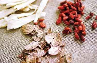 预防蛇虫鼠蚁的措施 蛇虫鼠蚁入药偏方疗效揭秘