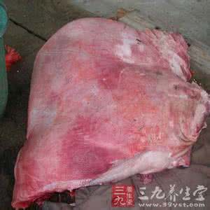 万斤病死猪肉卖出 食用病死猪肉或可致癌
