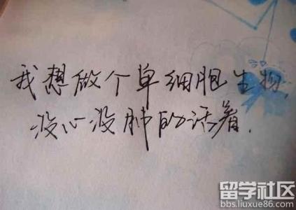 古诗词个性签名 揉碎心肠的古代诗词美赋 个性签名句子