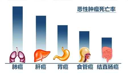 儿童癌症发病率 我国癌症已低龄化 儿童发病率增25%