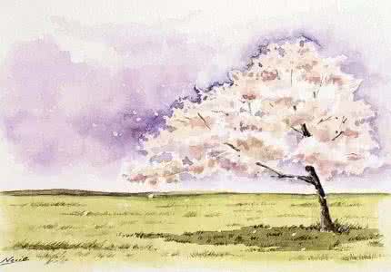 爱的真谛 宁静的真谛