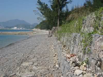 中华人民共和国防洪法 海岸防洪