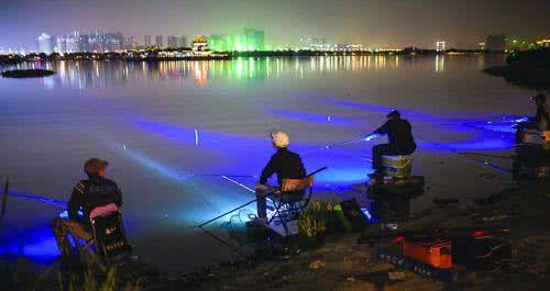 北京开拓顶点夜钓灯 北京鱼塘夜钓 【趣味鱼塘】夏季夜钓的选位、用饵技巧！