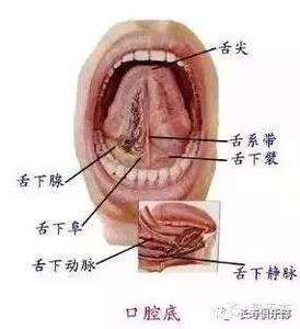 硝酸甘油舌下含服 硝酸甘油，知道舌下含服就够了吗？