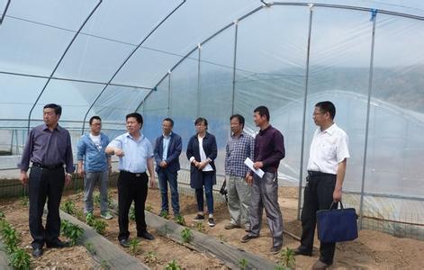 农产品质量安全监管 宝鸡市坚持加强对食用农产品监管工作