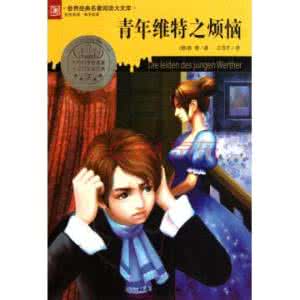 少年维特之烦恼 维特先生的烦恼:别活在爱情故事里