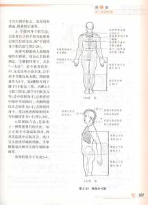 宝宝保健按摩分步图解 新编图解《穴位保健按摩》.白效曼.李业甫