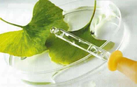 银杏叶制剂 银杏叶制剂市场现问题药 一批违规药企将受重罚