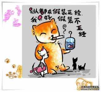 美食告诉你的人生哲理 猫告诉我们的人生哲理(图)