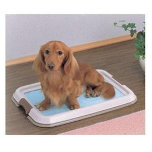 平板支撑抖成狗 平板支撑累成狗