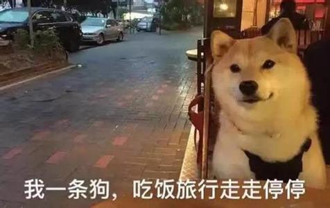 龙由哪九种动物组成 99%的人不知道这九种不祥物不能放在家里,你家有吗