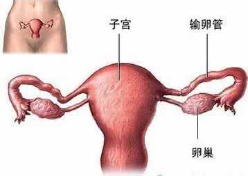 检查输卵管是否通畅 输卵管通畅检查 治疗便秘的方法，每天炒菜放几滴，便秘通畅不再来