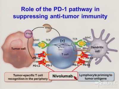 pd 1抑制剂价格 pd 1抑制剂价格 PD-1抑制剂的官方售价