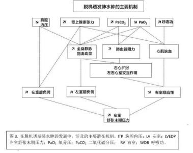 心功能不全 脱机诱发的心功能不全：我们何去何从？（1）