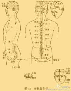 督脉经络图 经络的那点事--督脉